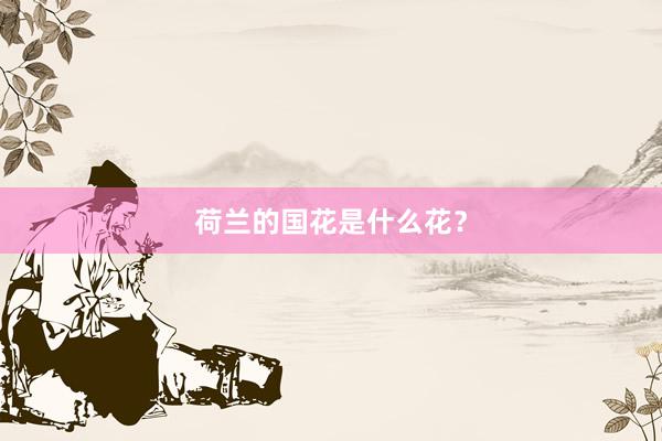 荷兰的国花是什么花？