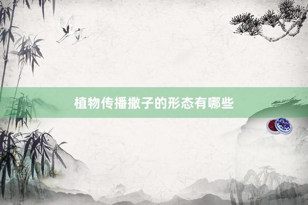 植物传播撒子的形态有哪些