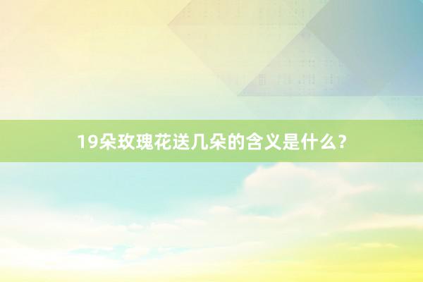 19朵玫瑰花送几朵的含义是什么？