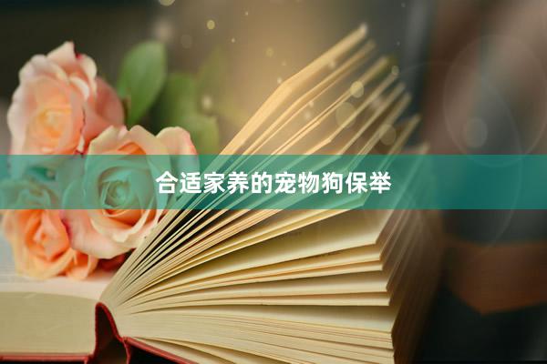 合适家养的宠物狗保举