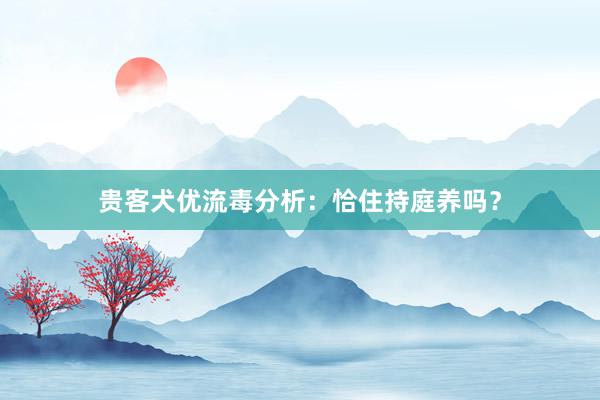 贵客犬优流毒分析：恰住持庭养吗？