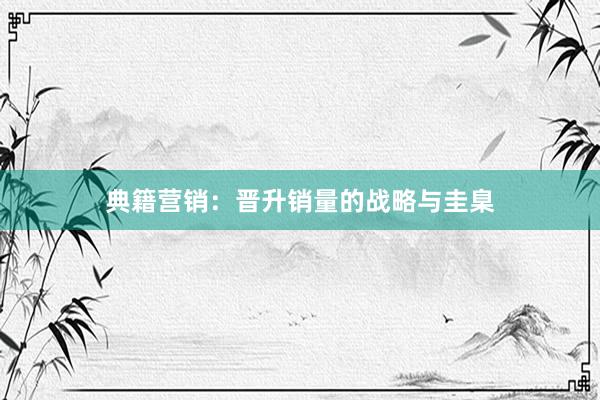 典籍营销：晋升销量的战略与圭臬